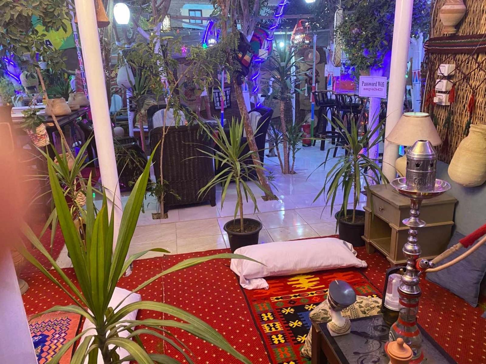 Peace Garden Hostel & Camp Luxor Bagian luar foto