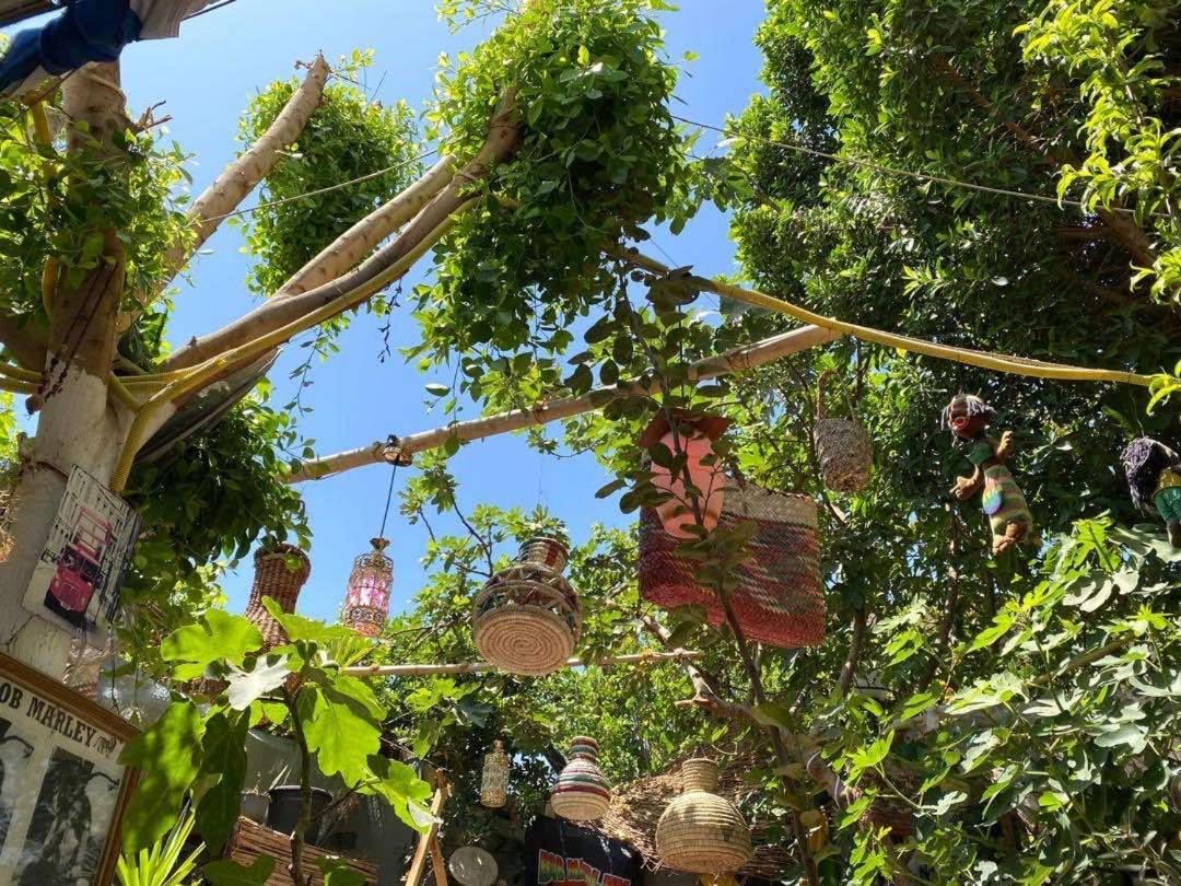Peace Garden Hostel & Camp Luxor Bagian luar foto