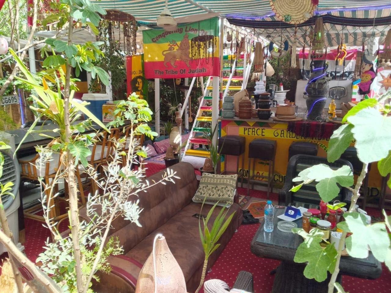 Peace Garden Hostel & Camp Luxor Bagian luar foto