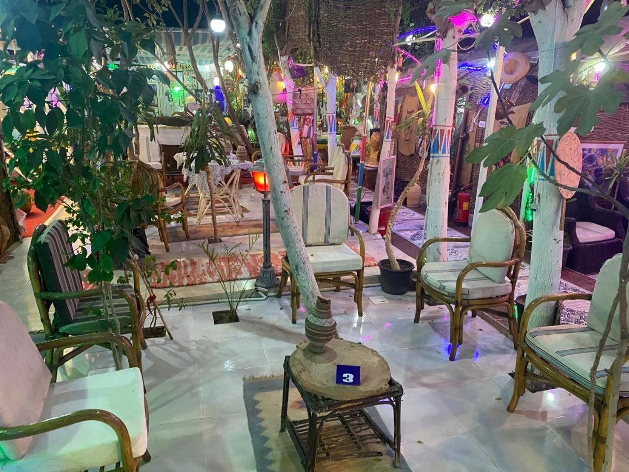 Peace Garden Hostel & Camp Luxor Bagian luar foto