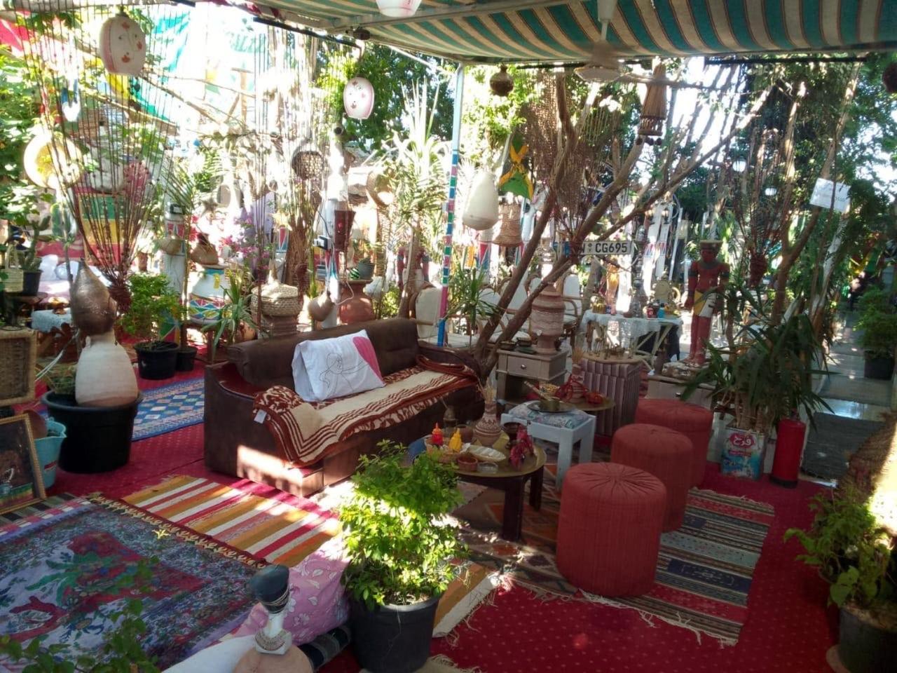Peace Garden Hostel & Camp Luxor Bagian luar foto